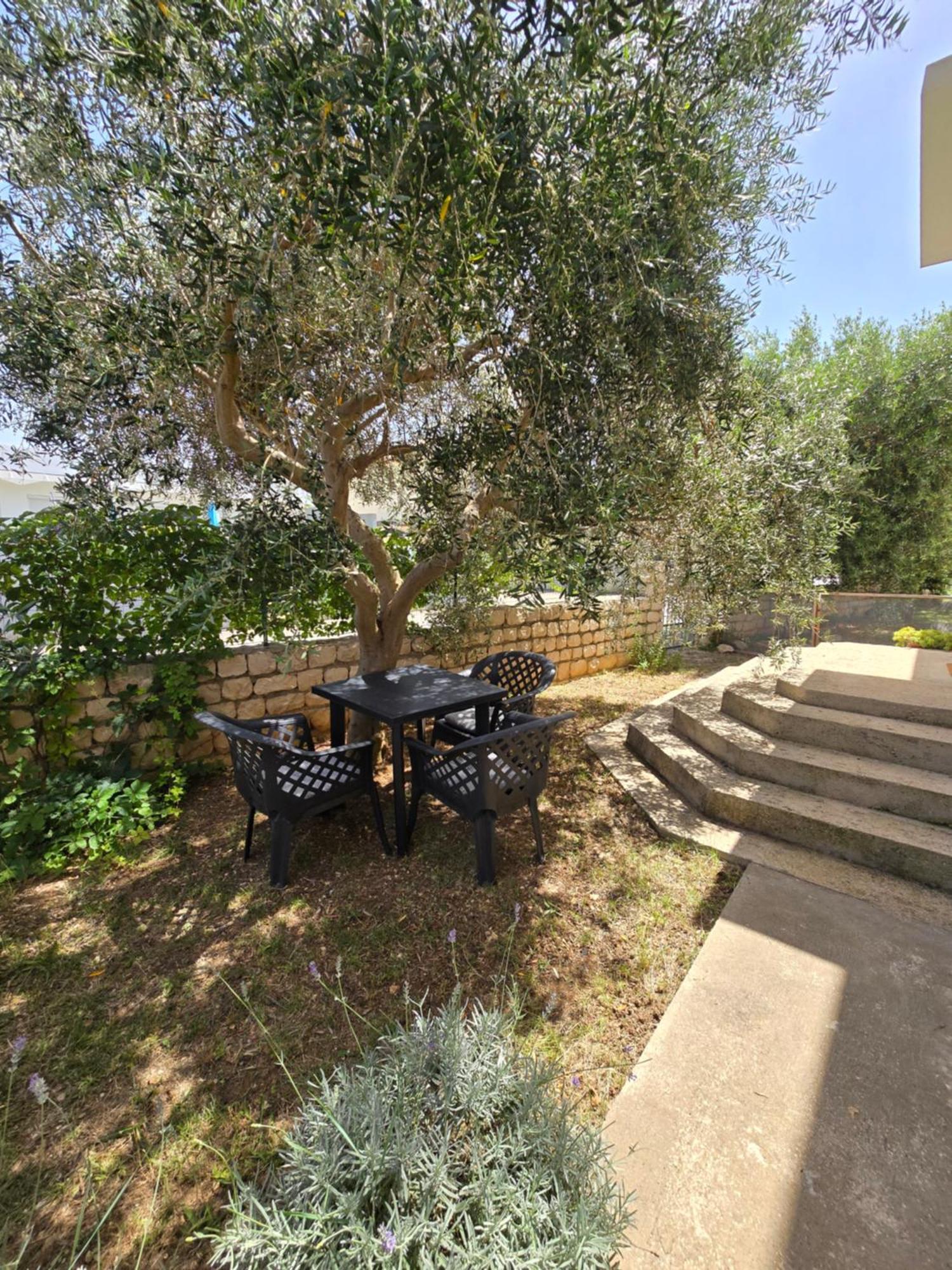 Apartman Nea Nin Exterior foto